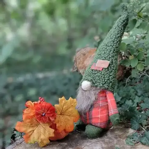 Smartphone Bild, Wichtel mit Fell Bart und herbstlichen Kunstgesteck. Smartphone Bild, Wichtel mit Fell Bart und herbstlichen Kunstgesteck.